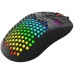 Mouse Marvo G925