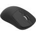 Mouse AQIRYS Nova