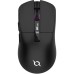 Mouse AQIRYS M2 Mouse AQIRYS M2